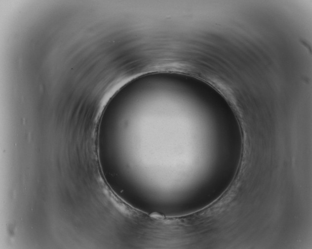 X0000103240816200809041045