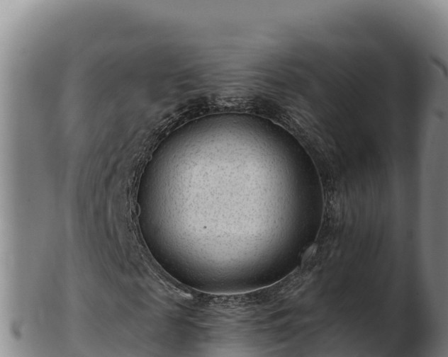 X0000103240817200809041044