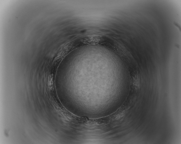 X0000103240818200809041044