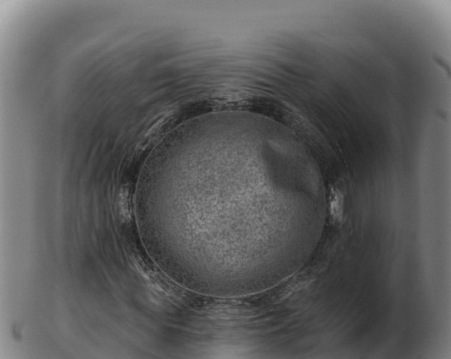 X0000103240819200809041044