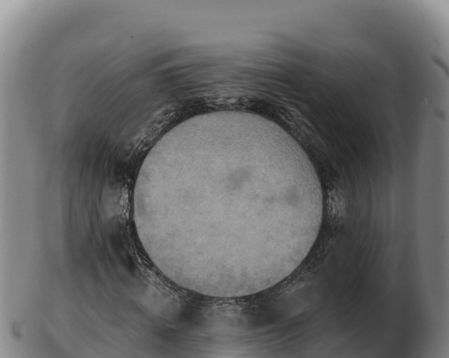 X0000103240820200809041044