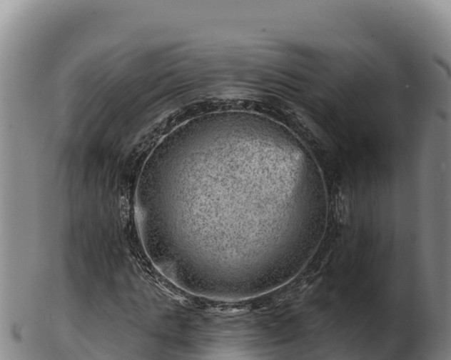 X0000103240821200809041044