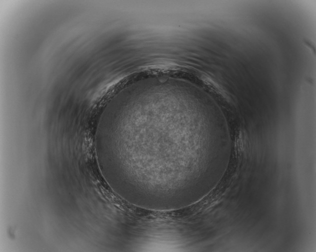 X0000103240822200809041044