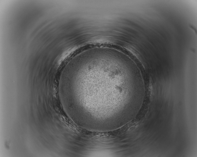 X0000103240823200809041045