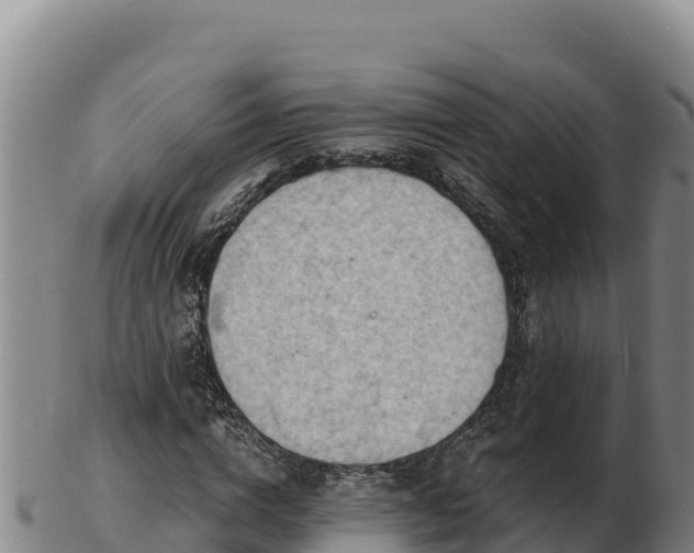 X0000103240824200809041045