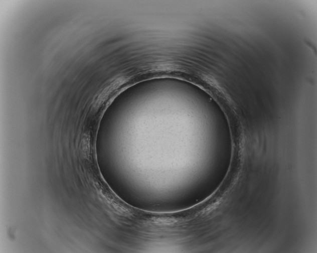 X0000103240825200809041045