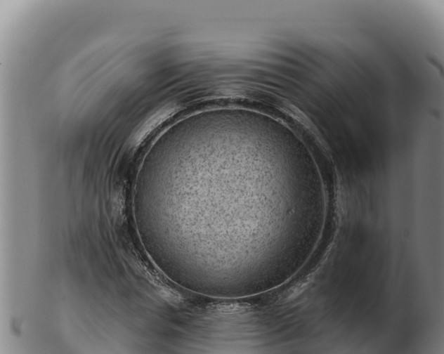 X0000103240826200809041045