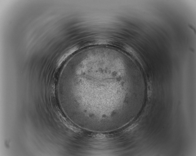 X0000103240827200809041045