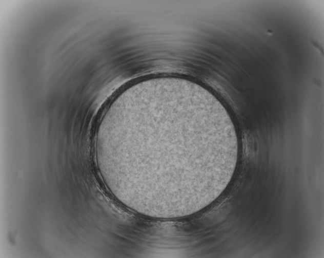 X0000103240828200809041045