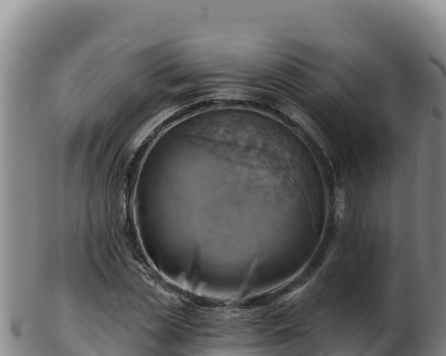 X0000103240829200809041045