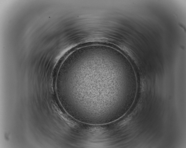 X0000103240830200809041045