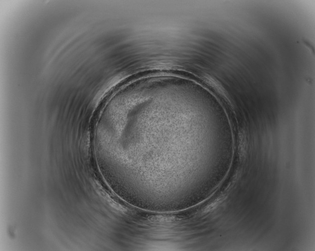 X0000103240831200809041045