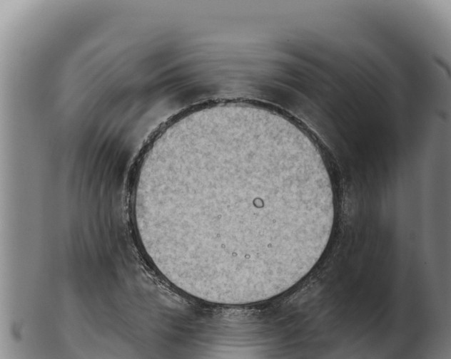 X0000103240832200809041045