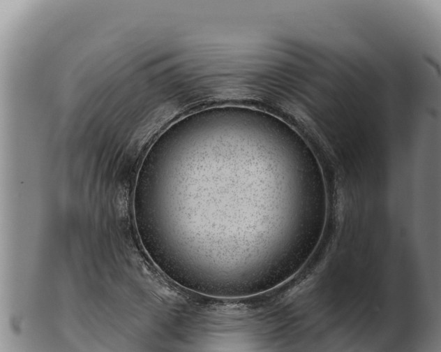 X0000103240833200809041045