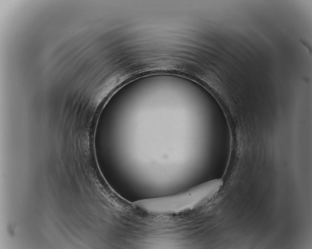 X0000103240834200809041045