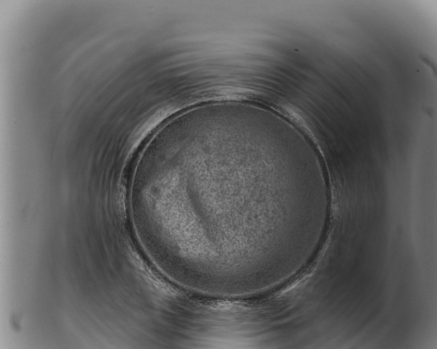 X0000103240835200809041045