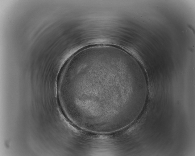 X0000103240839200809041045