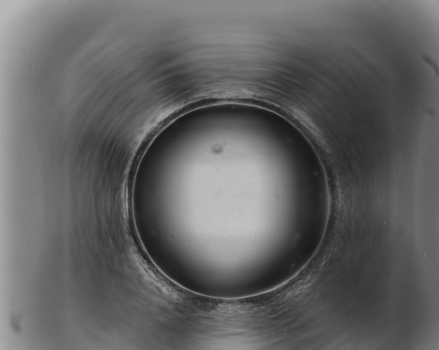 X0000103240840200809041045