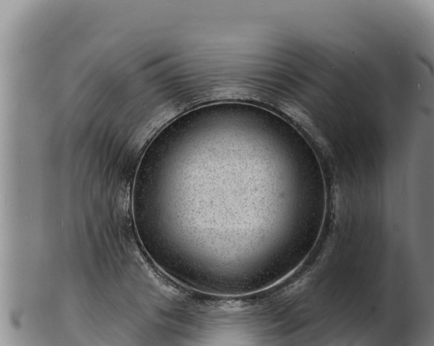 X0000103240841200809041045