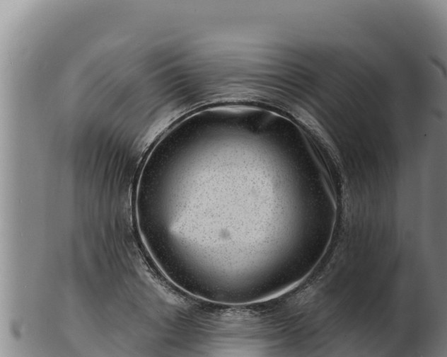 X0000103240842200809041045