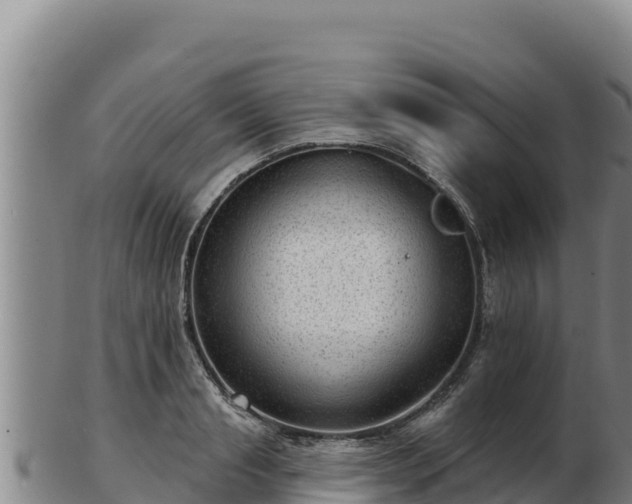 X0000103240845200809041045