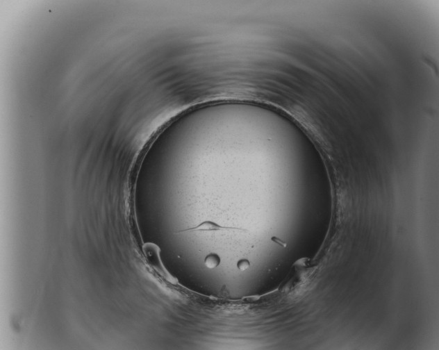 X0000103240846200809041045