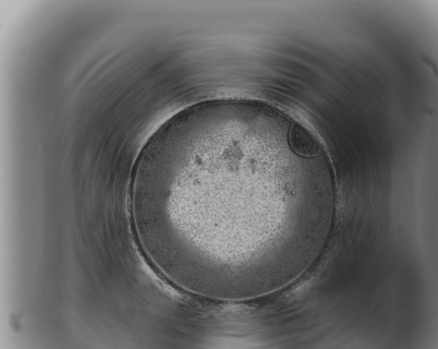 X0000103240847200809041045