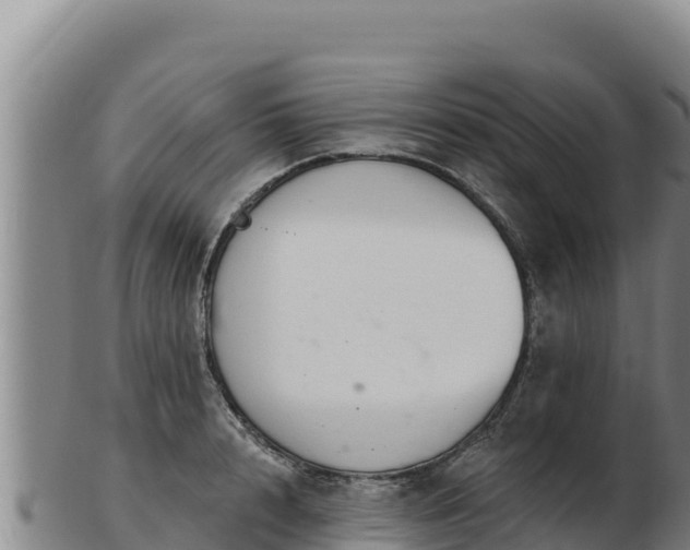 X0000103240848200809041045