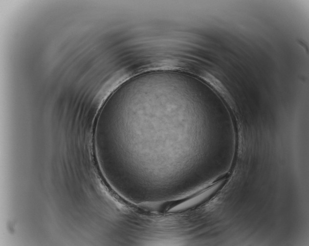 X0000103240850200809041045