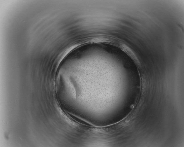 X0000103240852200809041045