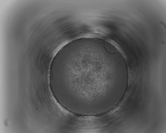 X0000103240853200809041045