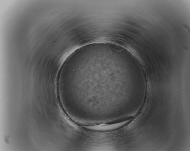 X0000103240854200809041045