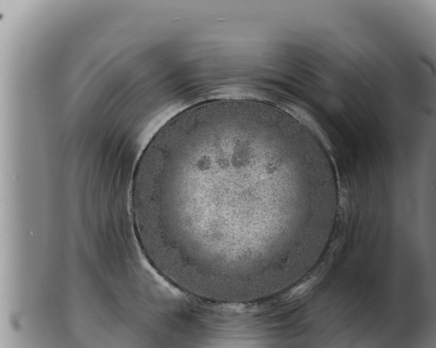 X0000103240855200809041045