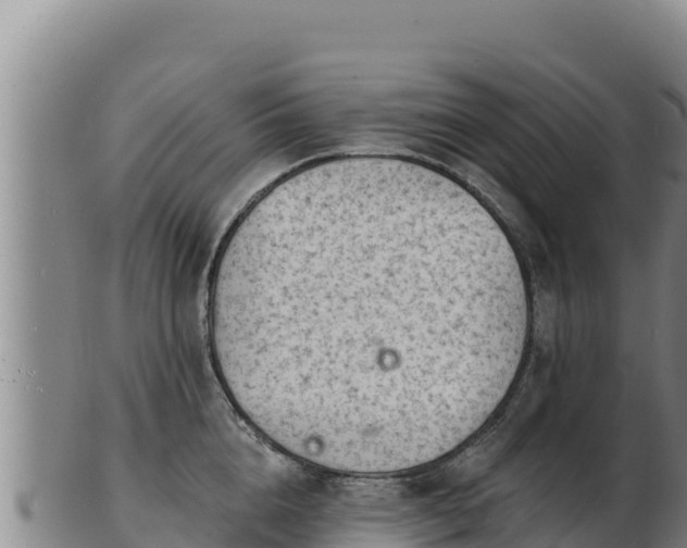 X0000103240856200809041045