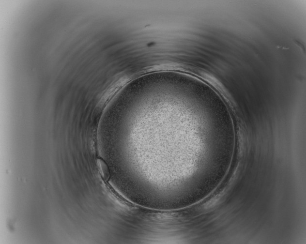 X0000103240857200809041045