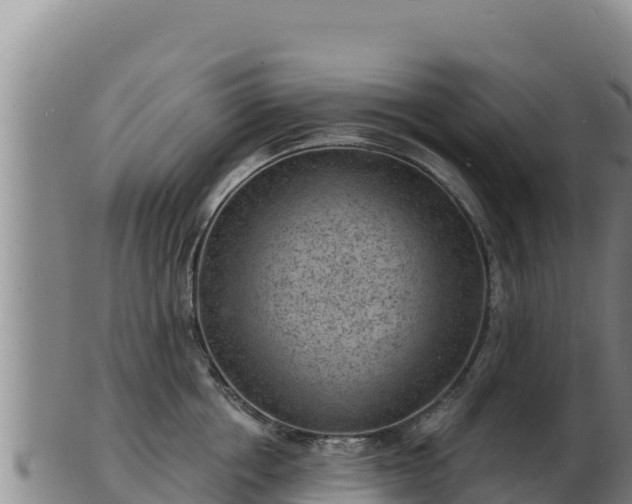 X0000103240858200809041045