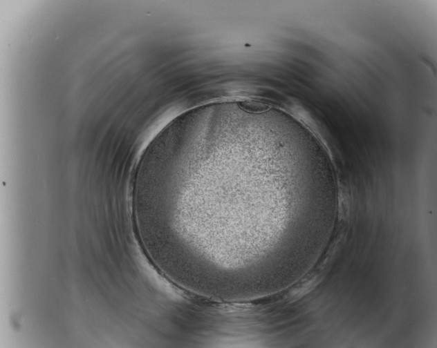 X0000103240859200809041045