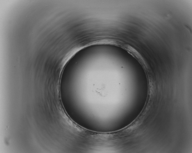 X0000103240860200809041045