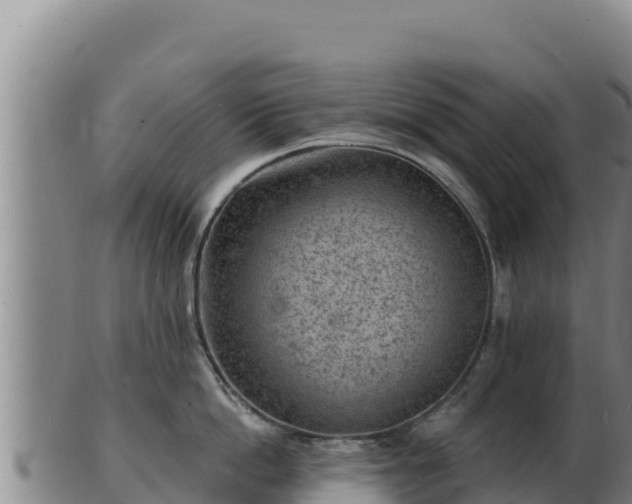 X0000103240862200809041045