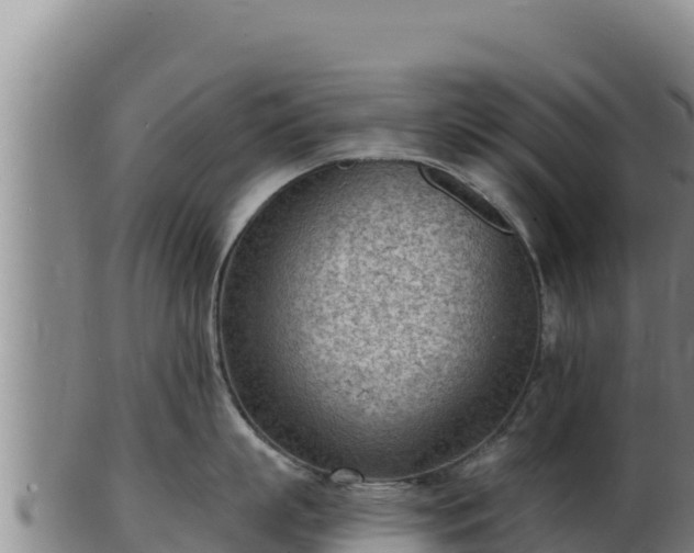 X0000103240863200809041045