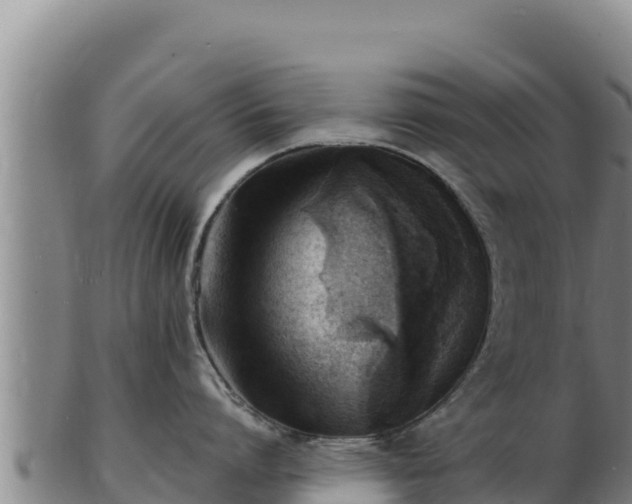 X0000103240864200809041045