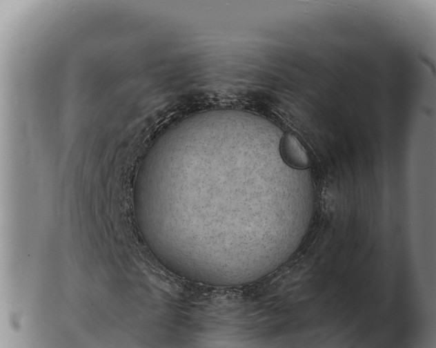 X0000103240865200809041044