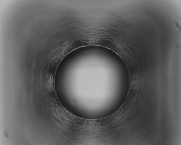 X0000103240866200809041044