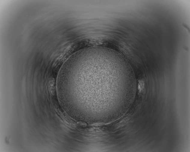 X0000103240867200809041044