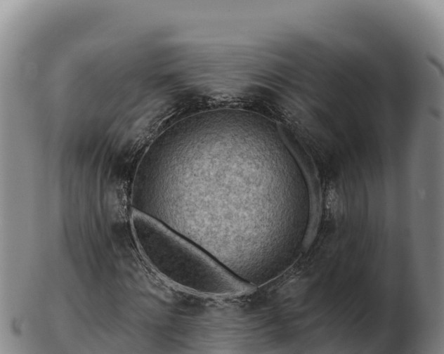 X0000103240868200809041044