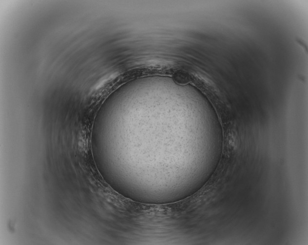 X0000103240869200809041044