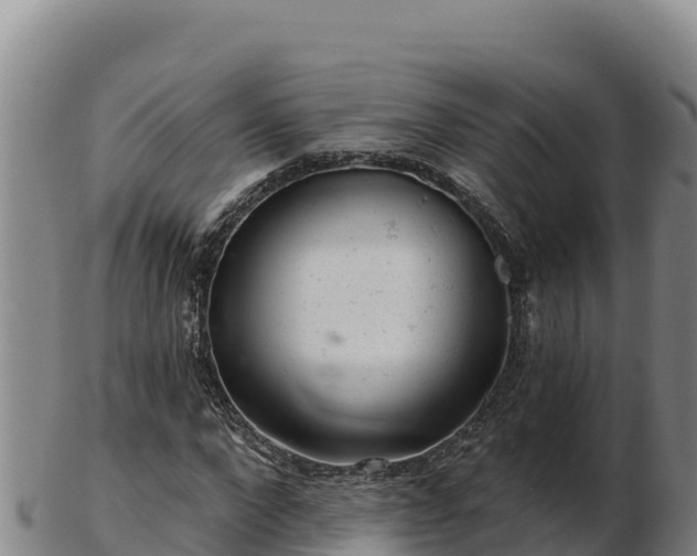 X0000103240872200809041044