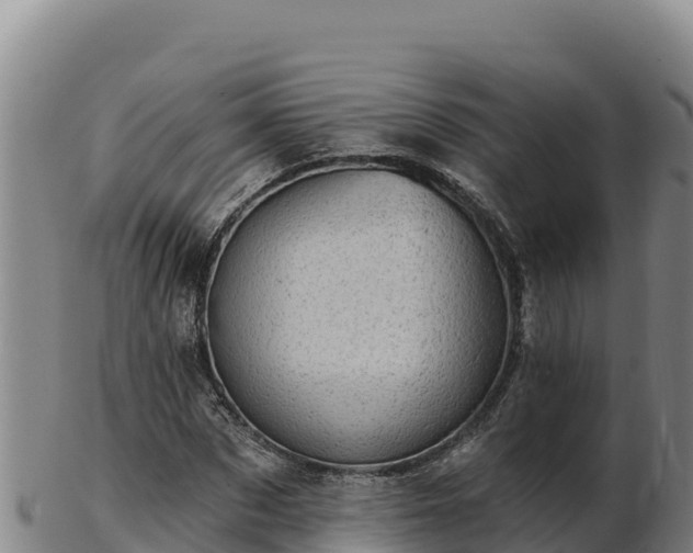 X0000103240873200809041044