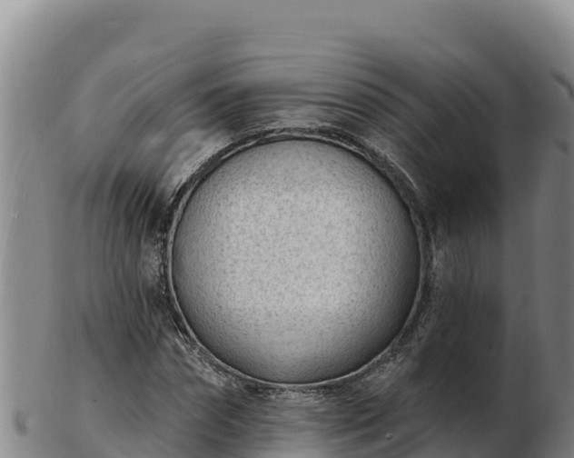 X0000103240874200809041044