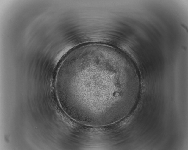 X0000103240875200809041044